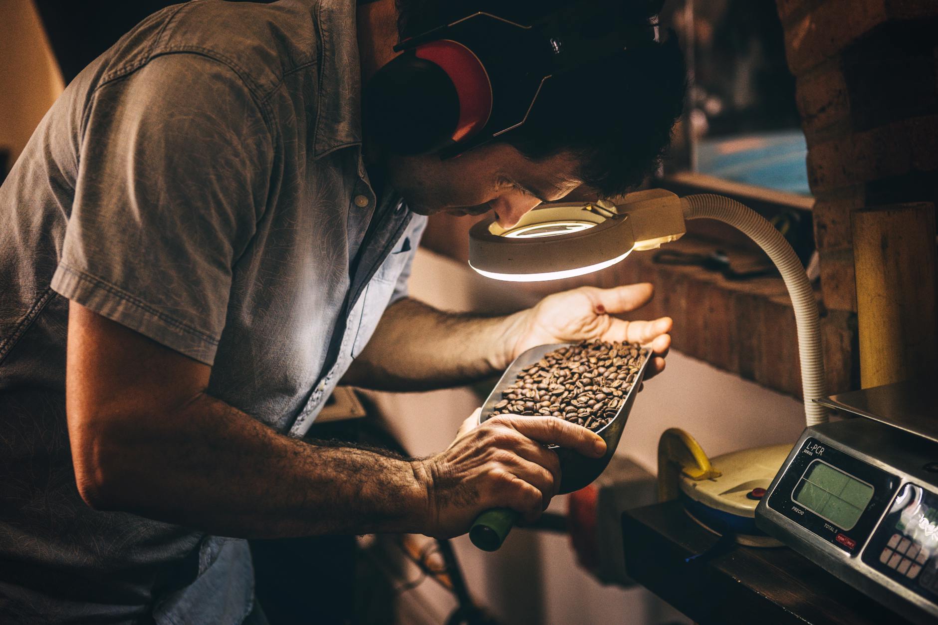 Fresh roasted coffee beans cooling in a drum