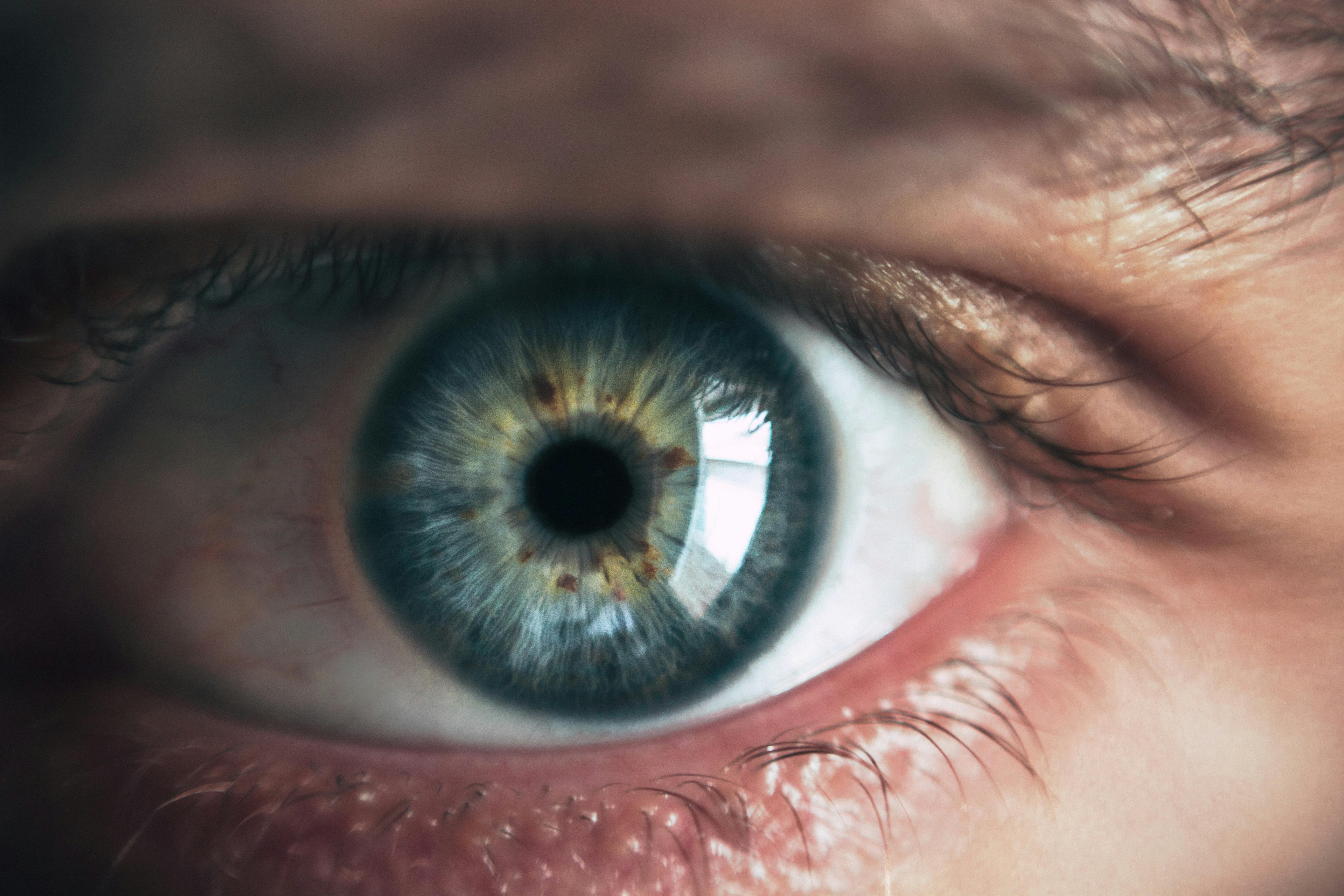 Comprehensive Eye Exams