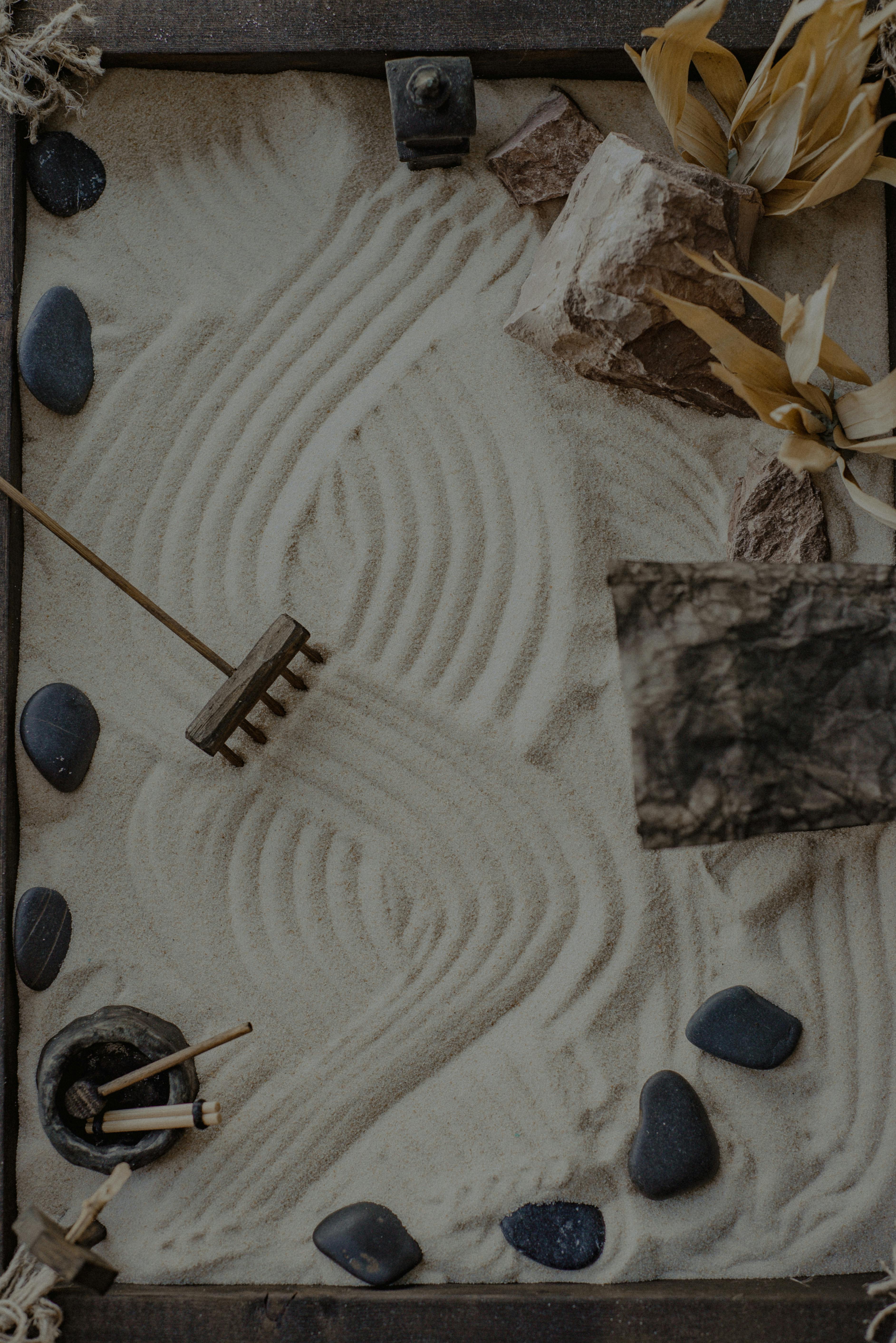 Peaceful meditation session