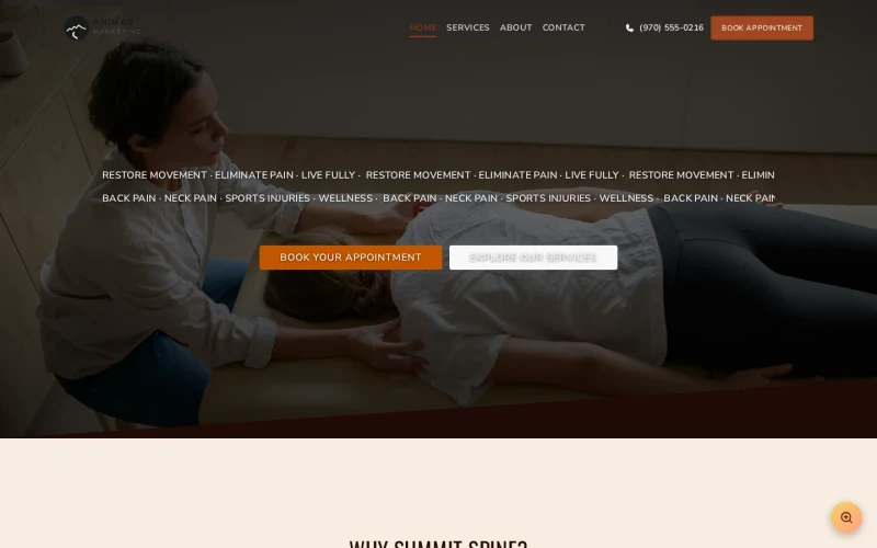 Chiropractic Statement template preview