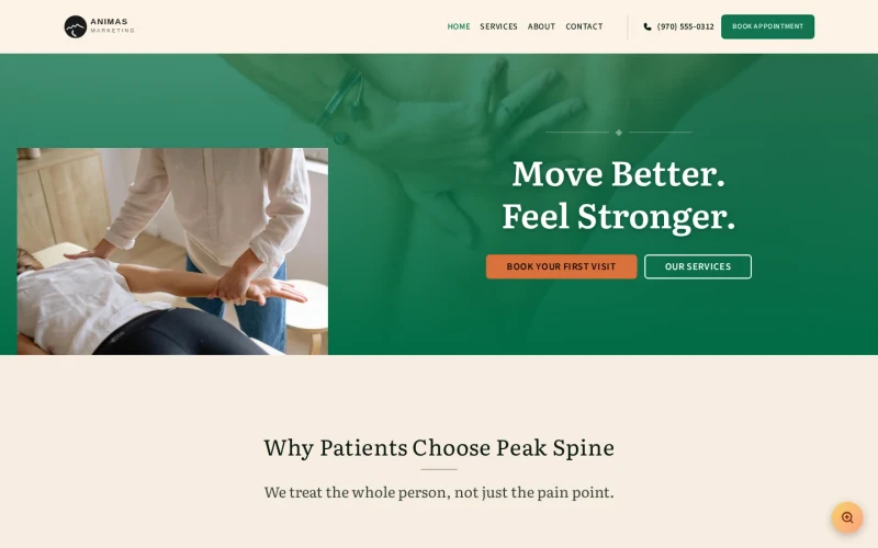 Chiropractor Wellness template preview