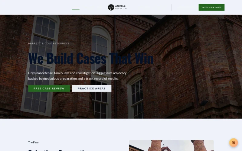 Law Firm Statement template preview