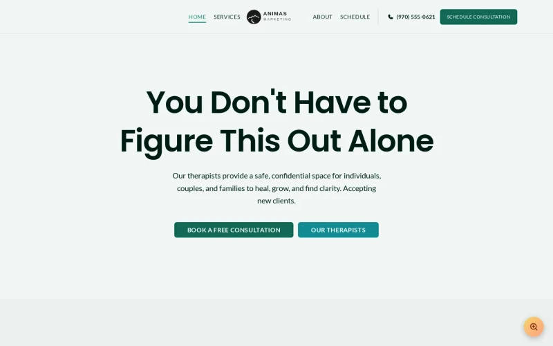 Mental Health Practice template preview