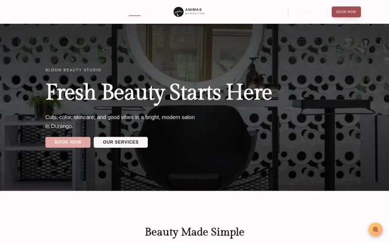 Salon Modern template preview